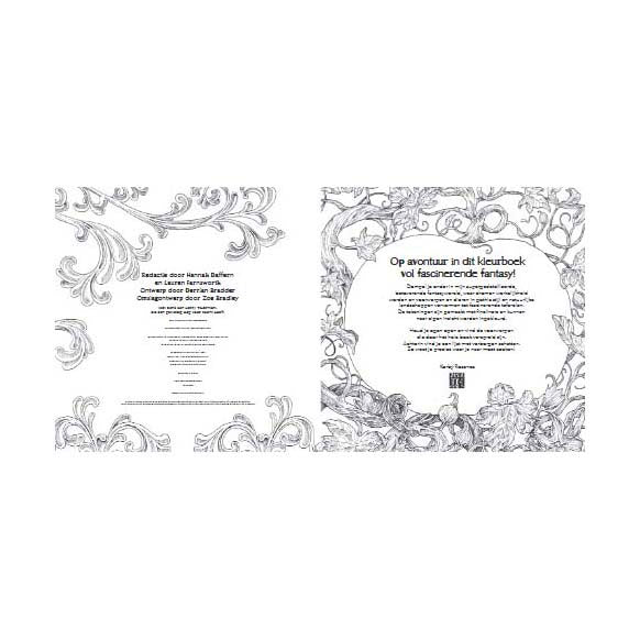 Lantern publishers wondermorphia search and reading book