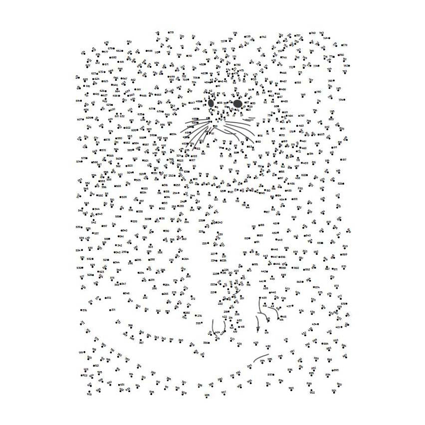 Lantern publishers extreme dot to dot - pets