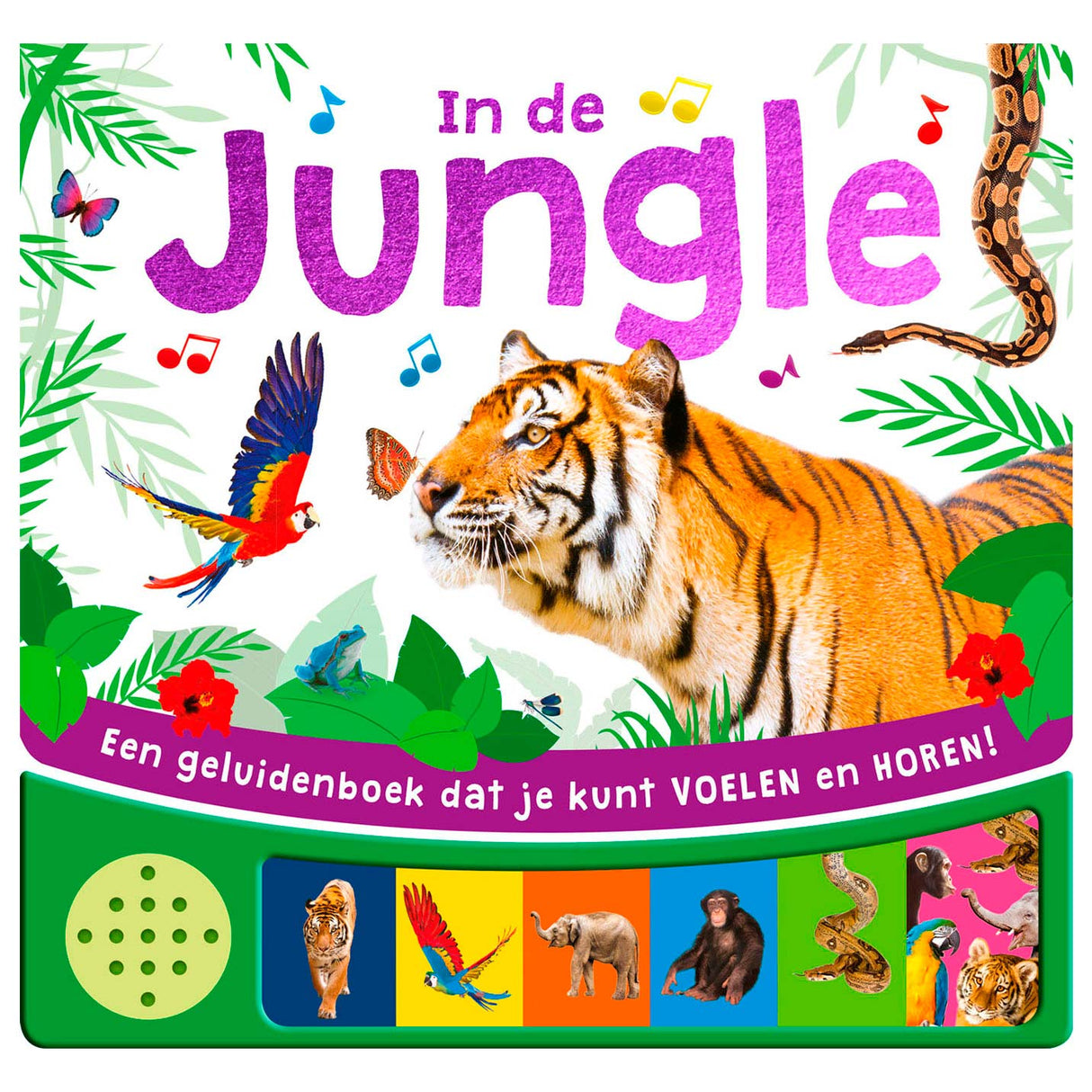 Rebo Publishers Sound book Jungle