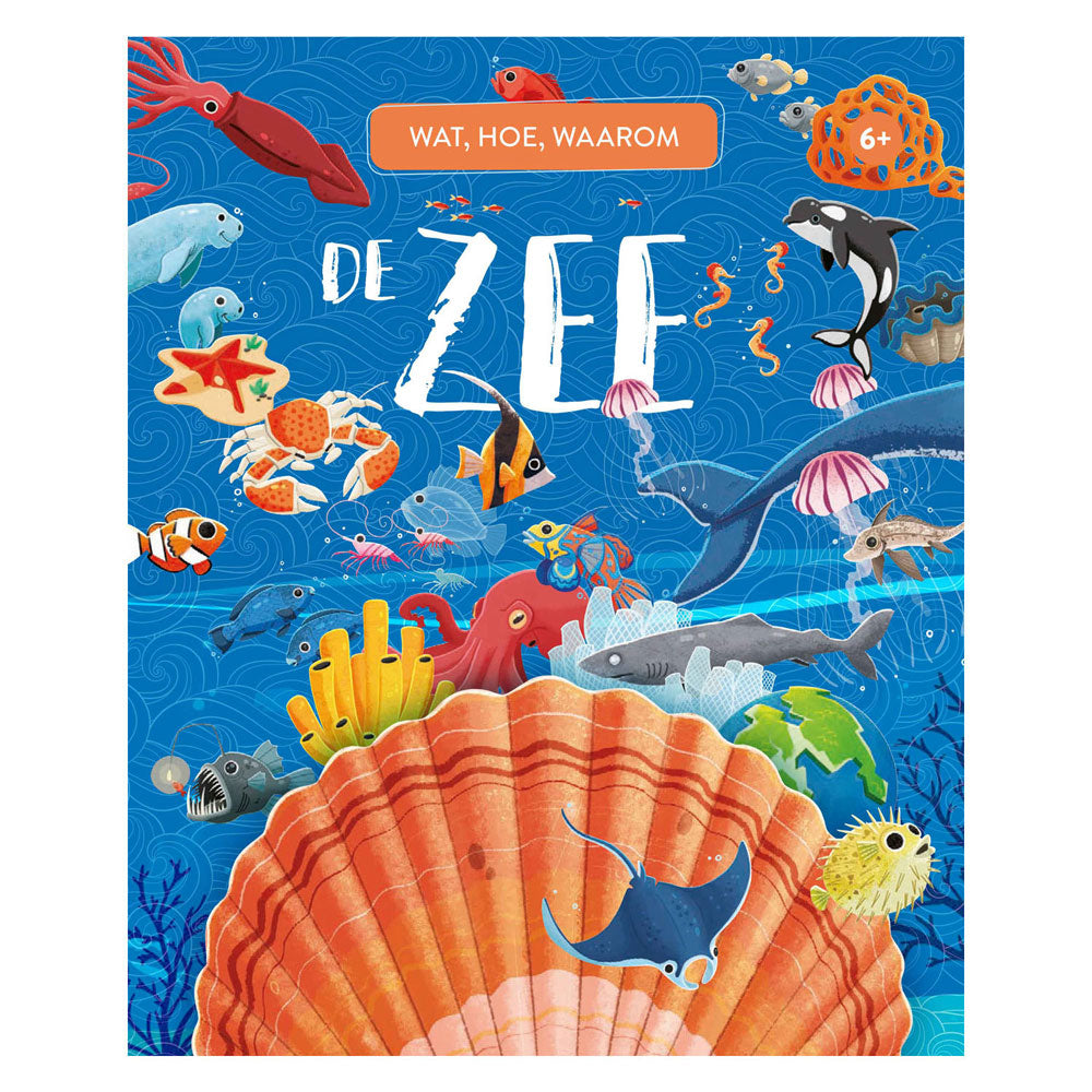 Rebo Publishers The Sea - What, How And Why