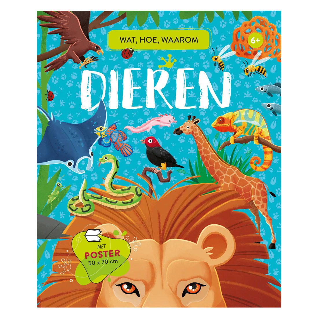 Rebo Publishers Animals - was, wie, warum