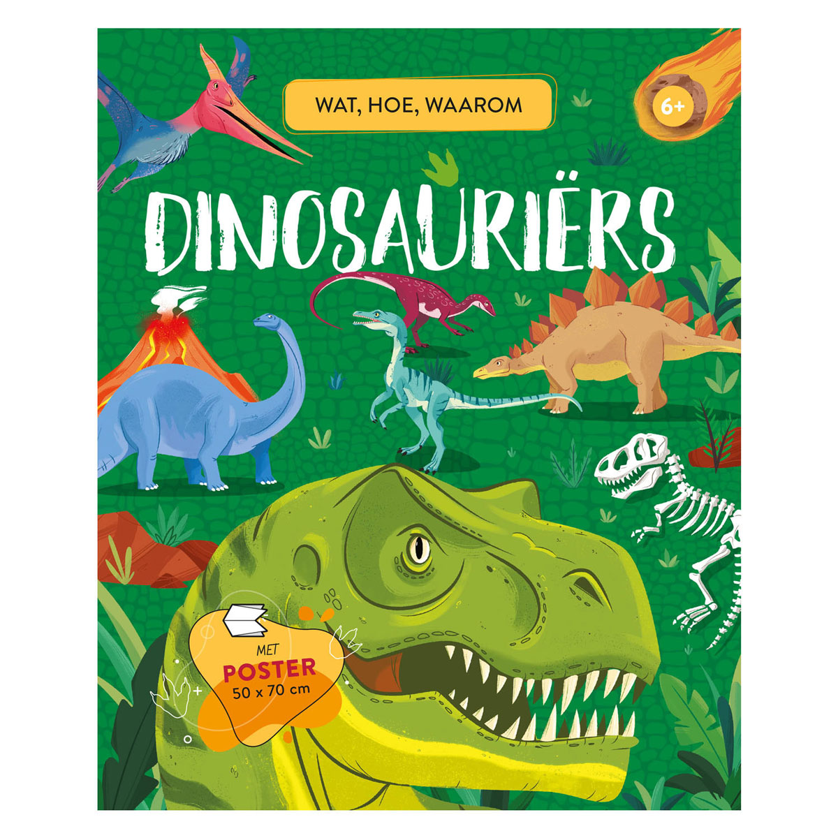 Rebo Publishers dinosaurs - what, how, why