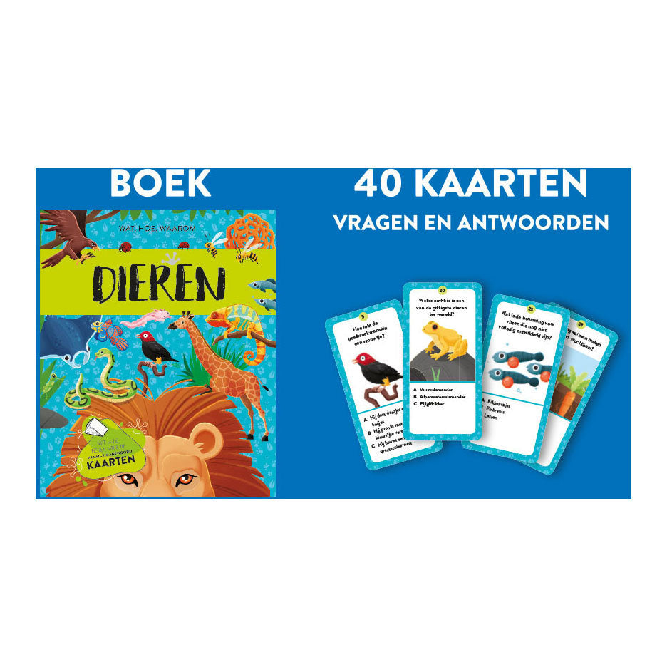 Rebo Publishers Animals - Fakt und Spielset neu