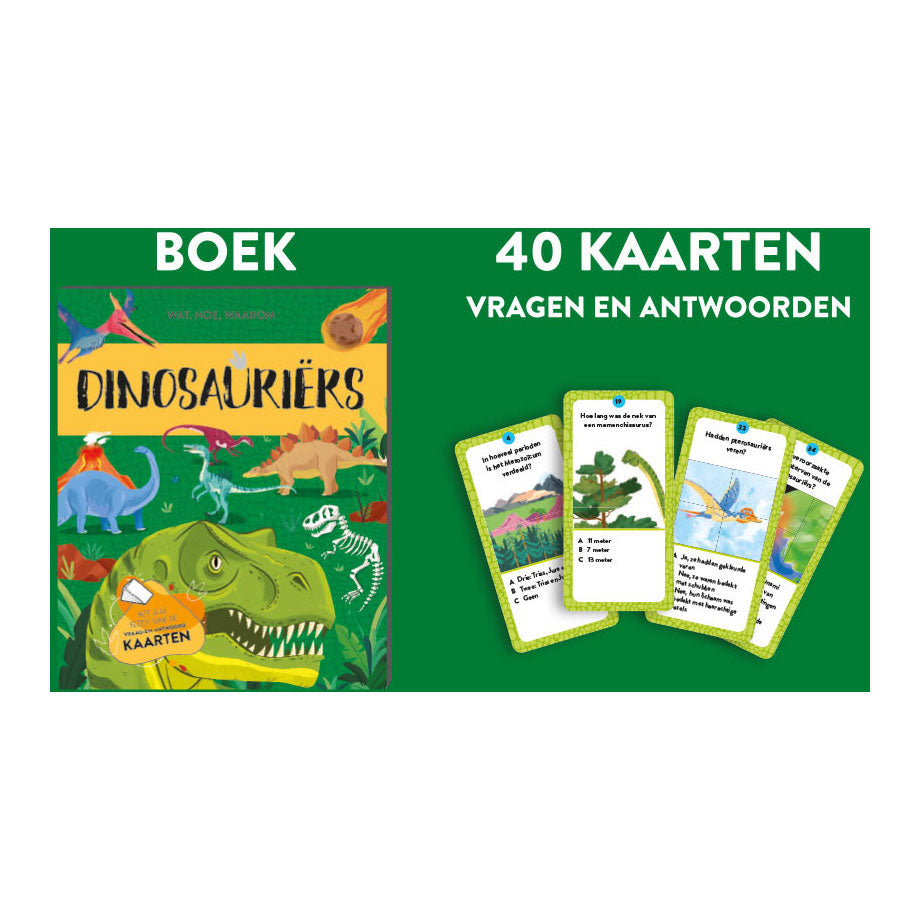 Rebo Publishers Dinosauriers Feiten Speelset