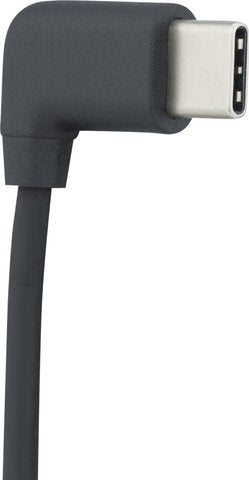 SKS Compit Cable Type C