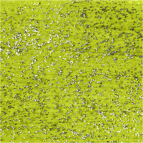 Cuideachta cruthaitheach https: www.cchobby.nl acrylic-paint-with-glitters-lime-green-500-ml-1-bottle