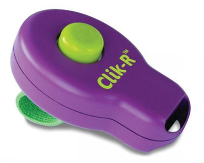 Clik-R Clicker pour la formation