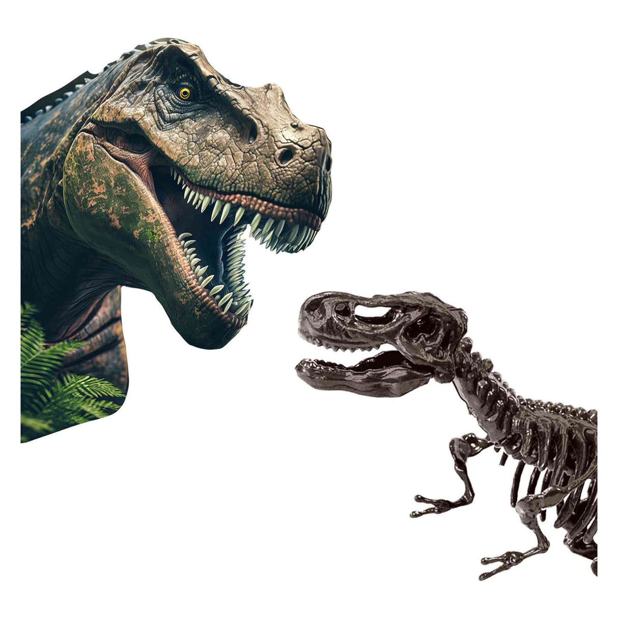 SES Explore en Skelet Opgraven 2in1 T-Rex