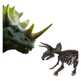 Ses entdecken an Skeleton ausgerackt 2in1 Triceratops