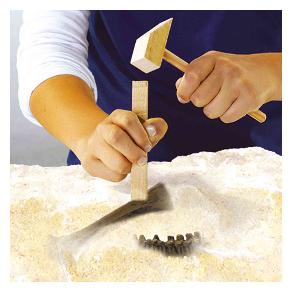 Ses creative ses explore dino and skeleton excavation 2in1 - stegosaurus