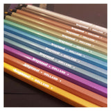 Bruynzeel turtle tin of 45 colored pencils