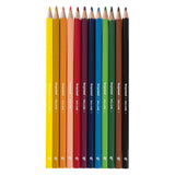 Bruynzeel 12 colored pencils in a can - kingfisher