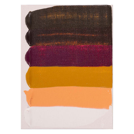 Bruynzeel Amsterdam Standard Serie Acrylfarben Portrait Set 20ml, 6 Stéck.