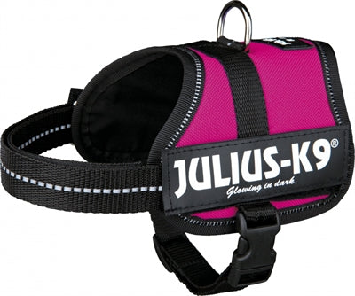 Julius K9 Power-Harnas Tuig för etiketter Fuchsia