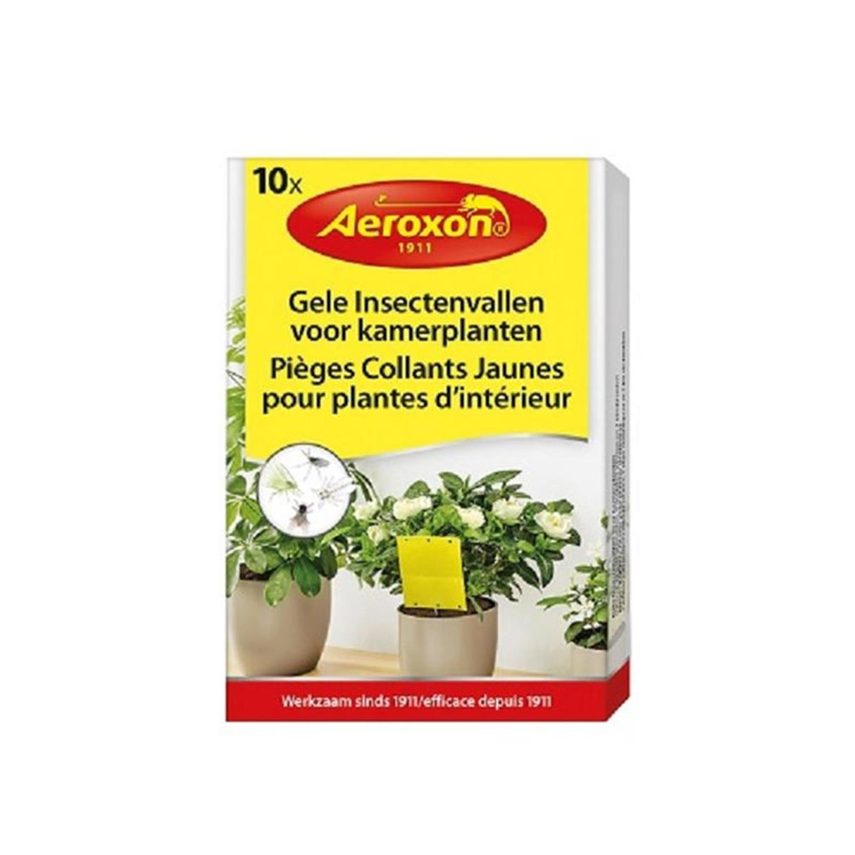 Bsi Aeroxon yellow insect traps for houseplants, box of 10 pieces
