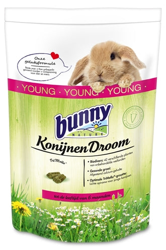 Bunny Nature Rabbit Dream Young