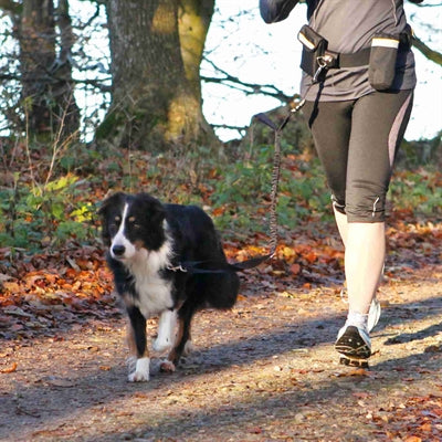 Trixie bioder pas z linią joggingową czarny