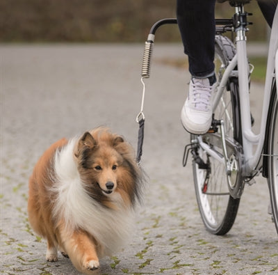 Trixie Bikerset Cykelfäste Springer