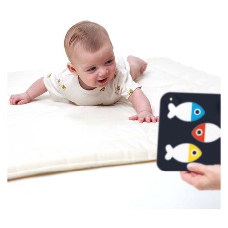 Banana panda - high contrast baby cards 0m+ 3m+ - 24pcs.