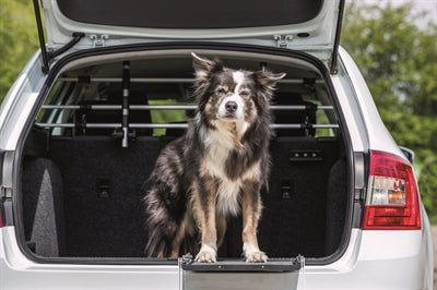 Trixie dog rack car silver black