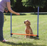 Trixie Hond Aktivitéit Agility Horde Blue Orange