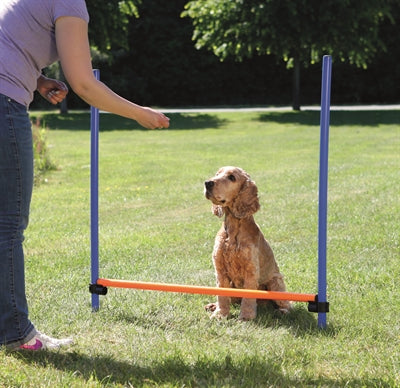 Trixie Hund Aktivität Agilität Horde Blau Orange