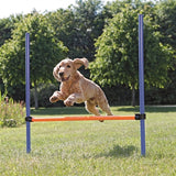 Trixie Dog Activity Agility Horde Blue Orange