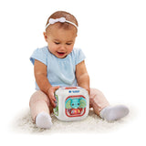 Vtech Animal Friends Music Cube