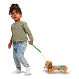Xilofone Vtech Timmie Dachshund com luz e som