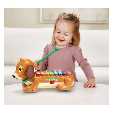 Vtech Timmie Dachshund ksilofonas su šviesa ir garsu