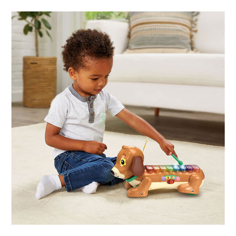 Vtech Timmie Dachshund ksilofonas su šviesa ir garsu
