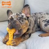 NYLABONE DURA CHEW CAMELO