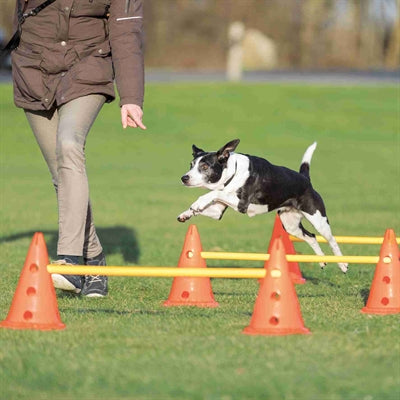 Trixie Dog Activity Horden Set