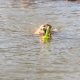 Trixie dog activity moth-aqua fetch float lime green