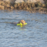 Trixie dog activity moth-aqua fetch float lime green