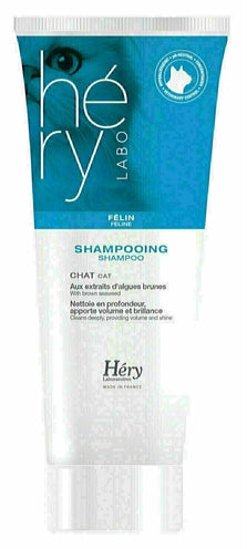 HERY SHAMPOO KAT