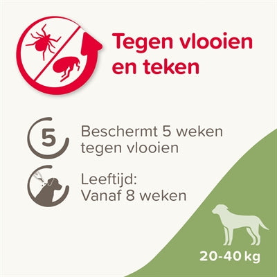 Beaphar Fiprotec hond tegen teken en vlooien