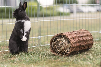 Trixie Wilgentunnel konijn