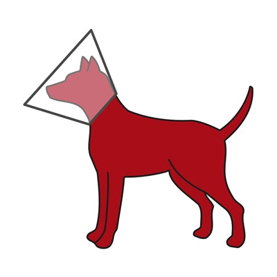 Trixie protective collar with Velcro transparent plastic