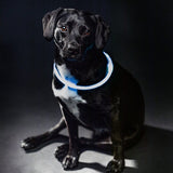 Unmarked sans marque trixie luminous collar usb flash light rechargeable tpu blue