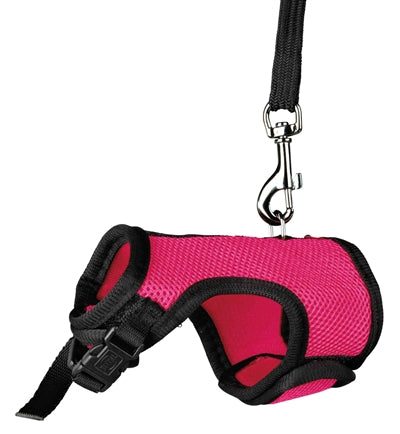 Trixie Softhuik avec ceinture pour Rattten Assorti