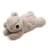 AFP Petit-Buddy Warm Bear