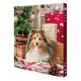 Trixie Advent Calendar Hond