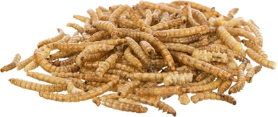 Trixie Mealworms sušené