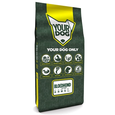 Yourdog bloodhound adult