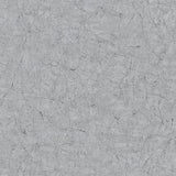 Noordwand Noordwand tapet Vintage Deluxe Stucco Crackle Metallic Grey