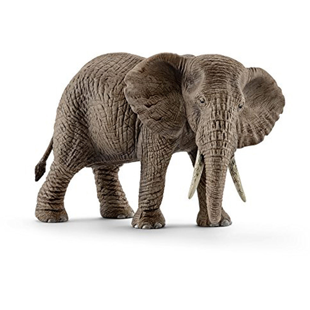 Schleich African Elephant Woman