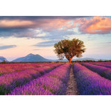 Ravensburger Puzzle Lavender fields 1000 pieces