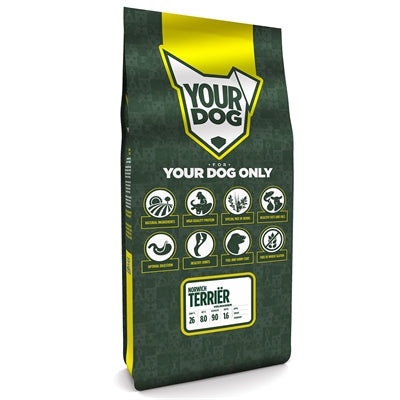 Yourdog Norwich Hrozný dospělý