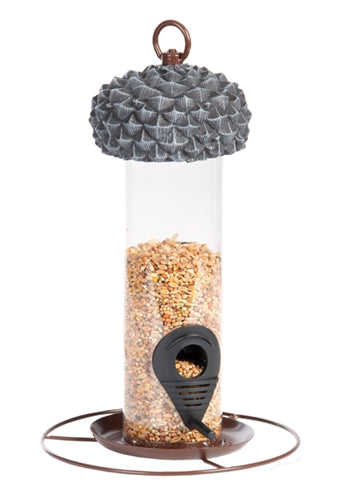 Best for birds feeding silo glans for seeds